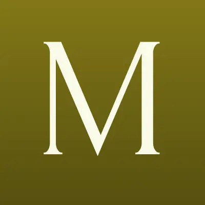Магазин фейерверков, лого-визитка